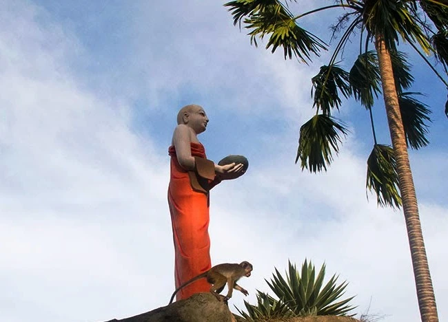 Xuất gia & hiếu hạnh